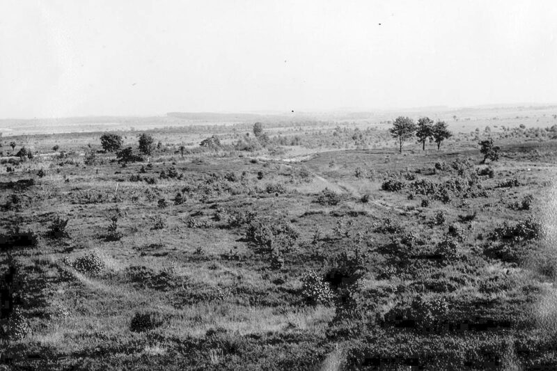 Blick von Telegrafenberg 1942