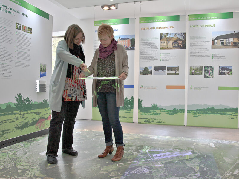 Ausstellung: Beamer-Projektion auf die Wahner Heide Karte