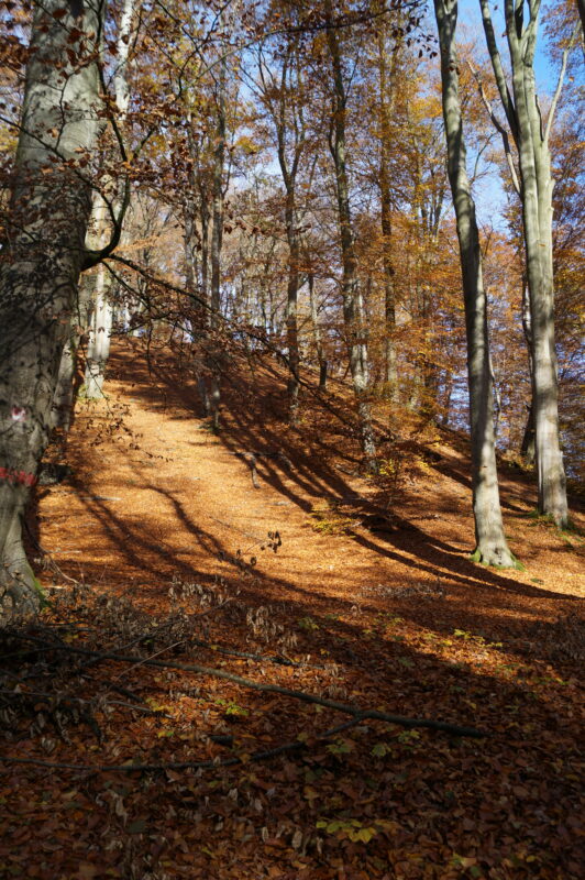 Abraumhalde der Grube Versöhnung