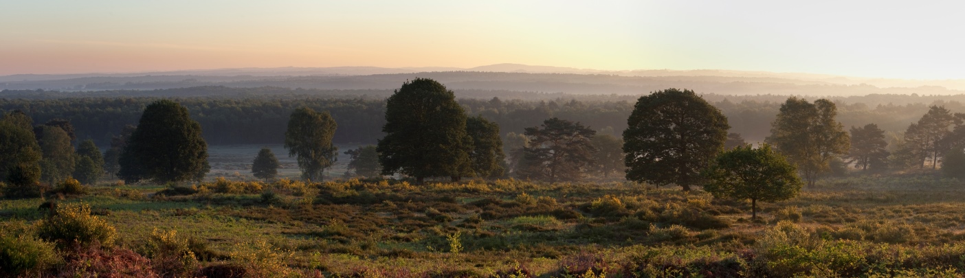 Blick vom Telegrafenberg, Foto: Stefan Pütz