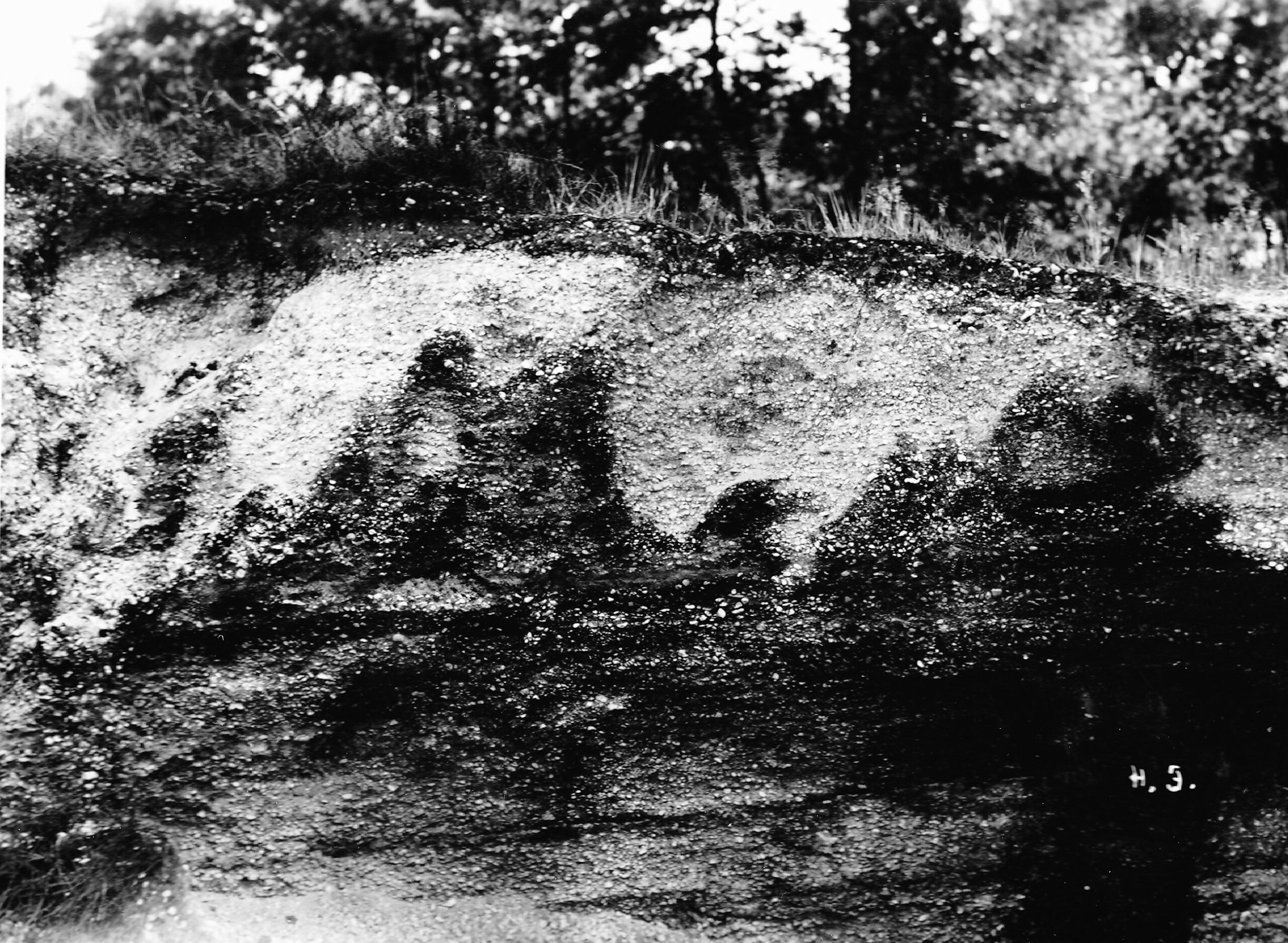 Ortsteinprofil am Roonhügel, Wahner Heide, Foto: Hubert Iven