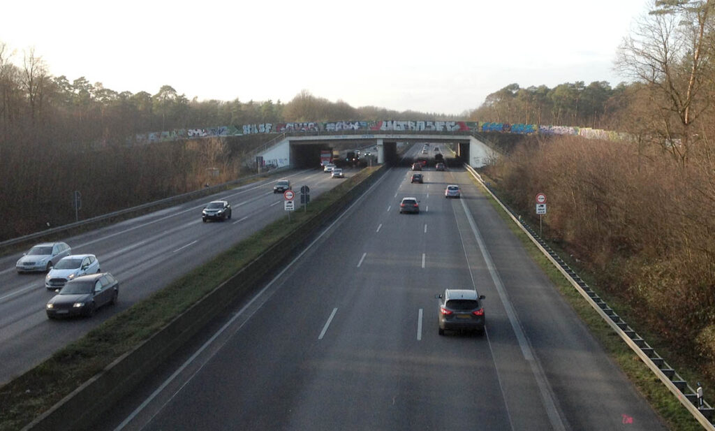 Grünbrücke zwischen Wahner Heide und Königsforst