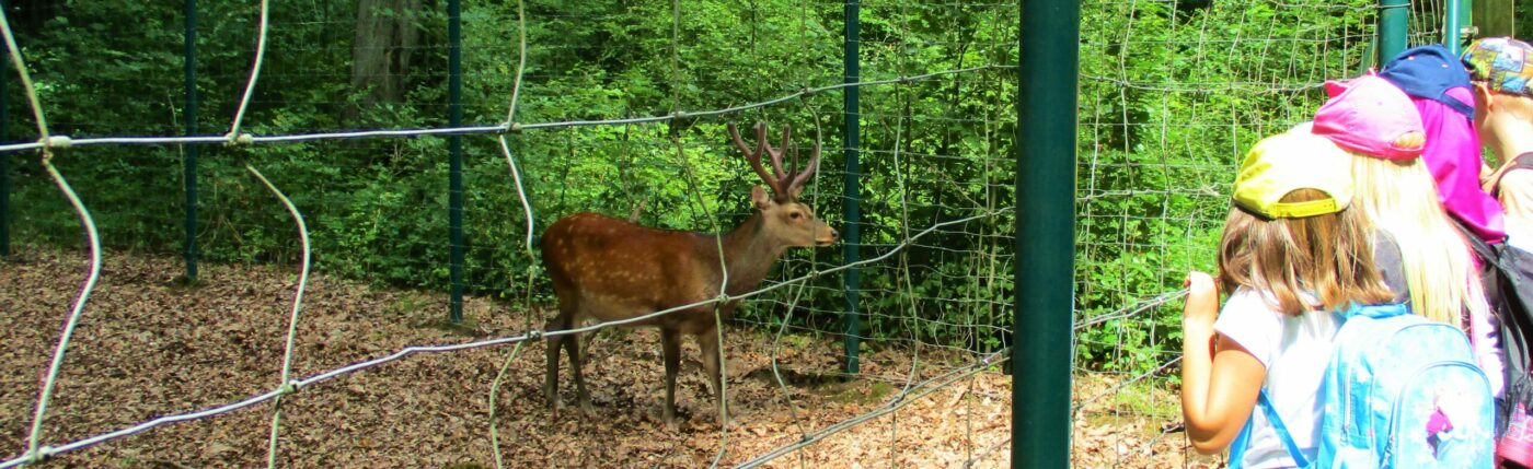 Biparcours durch Hirschpark