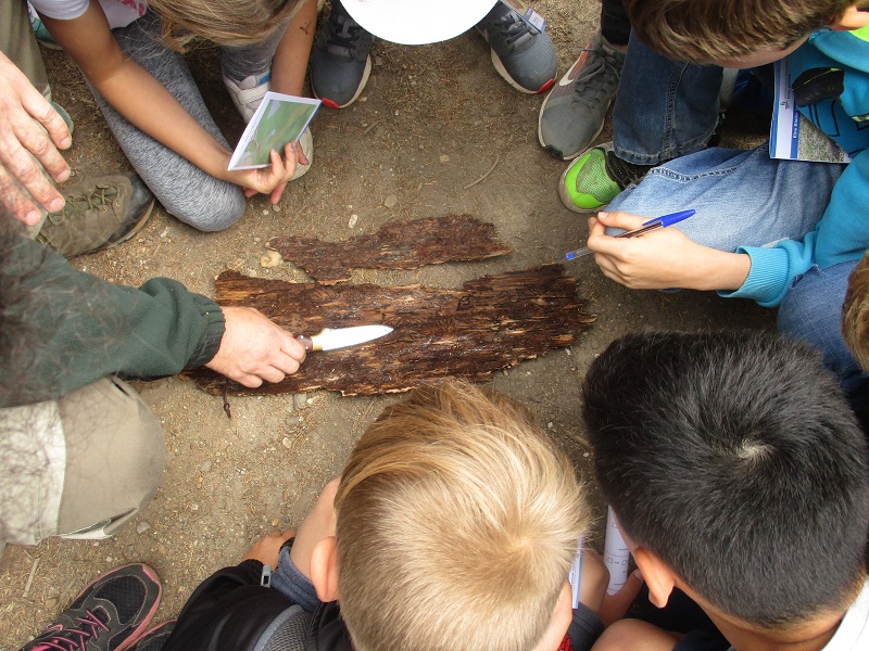 Waldtag für Troisdorfer Schulklassen