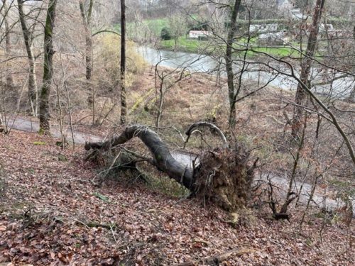 Foto PM Aggerweg