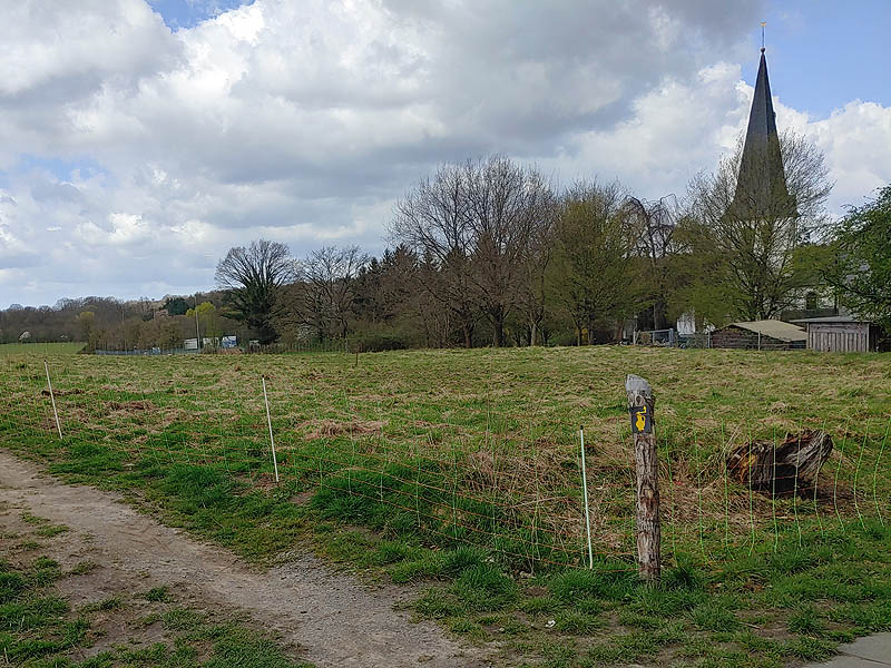 Archäologietour Altenrath und die Hohe Schanze