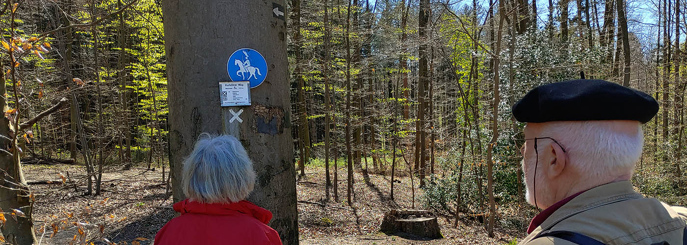 Wanderung im Königsforst, Foto: Justus Siebert