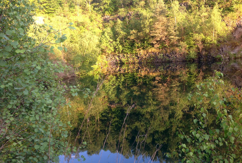 Glühwürmchen am Eulenberg