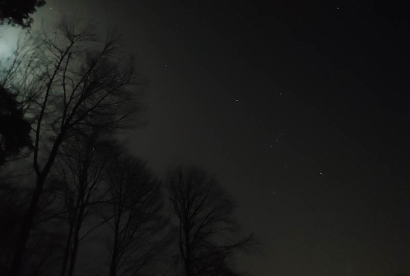 Sternstunden über der Heide