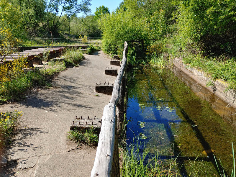 TROPFAD – Wandern rund um Troisdorf