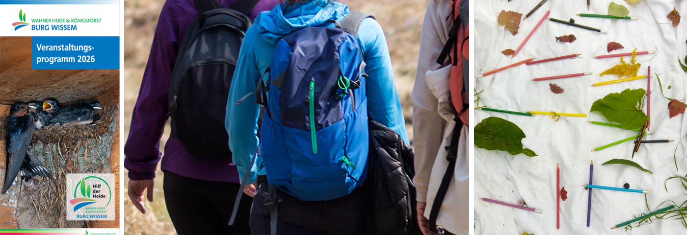 Collage Veranstaltungsprogramm Burg Wissem 2026
