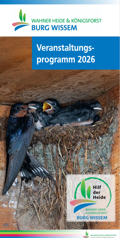 Cover Veranstaltungsprogramm Burg Wissem 2026